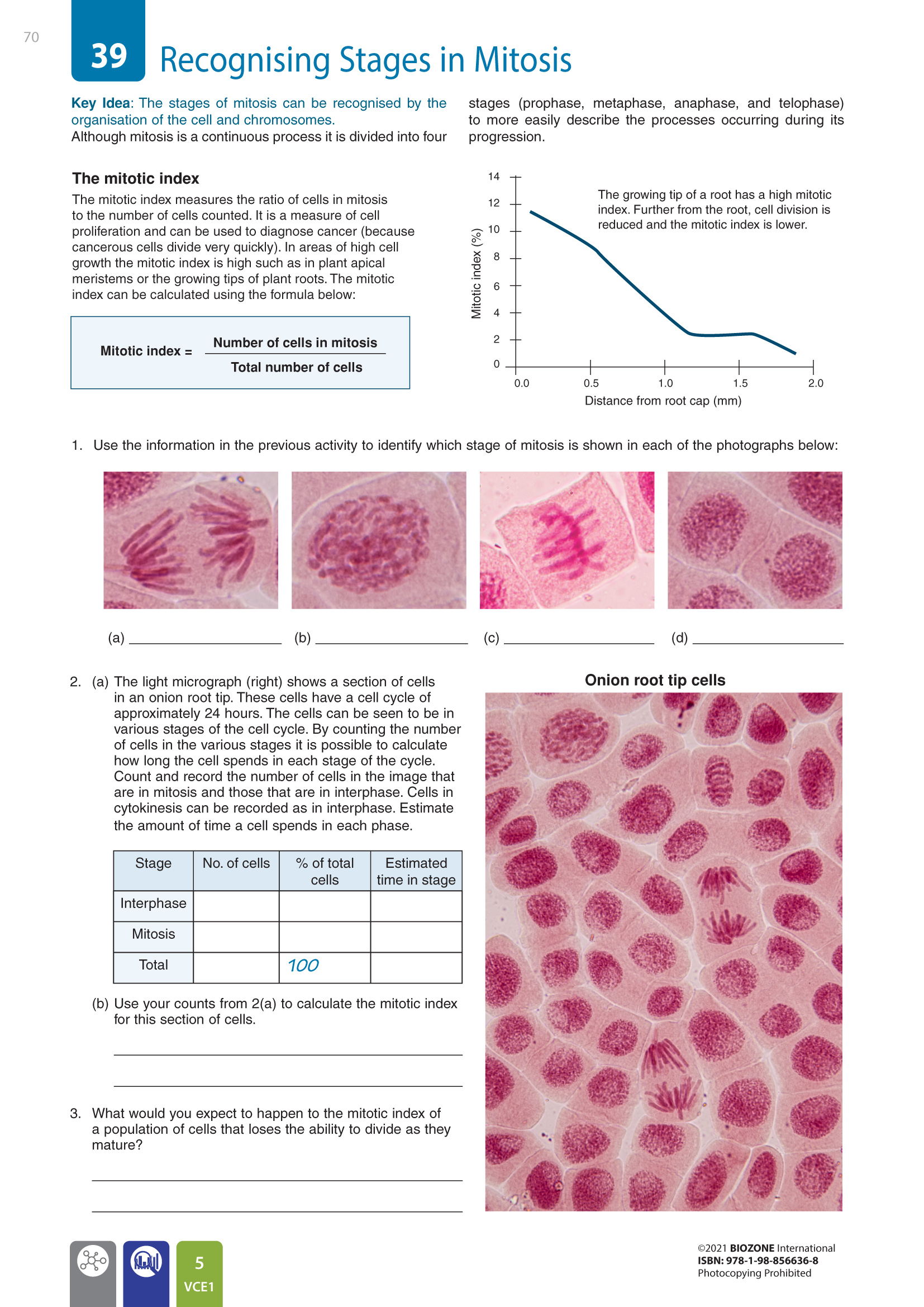 VCE2 Sample Page